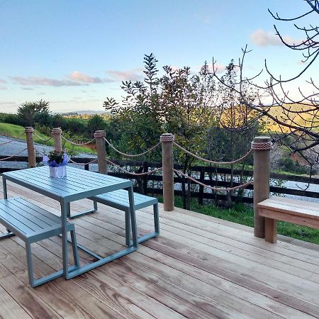 Secluded, Private Rural Retreat Mins From Warkworth -"Avondale" Minihouse Villa Exterior foto